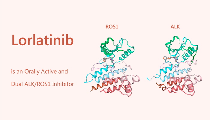 Lorlatinib is an Orally Active and Dual ALK/ROS1 Inhibitor