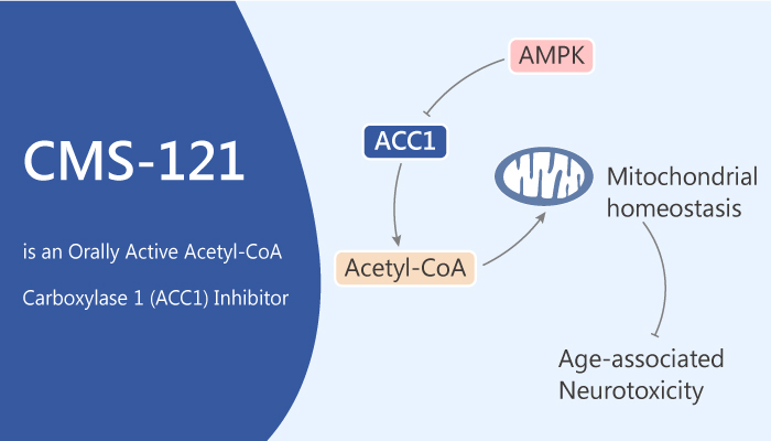 CMS-121 is an Orally Active Acetyl-CoA Carboxylase 1 (ACC1) Inhibitor
